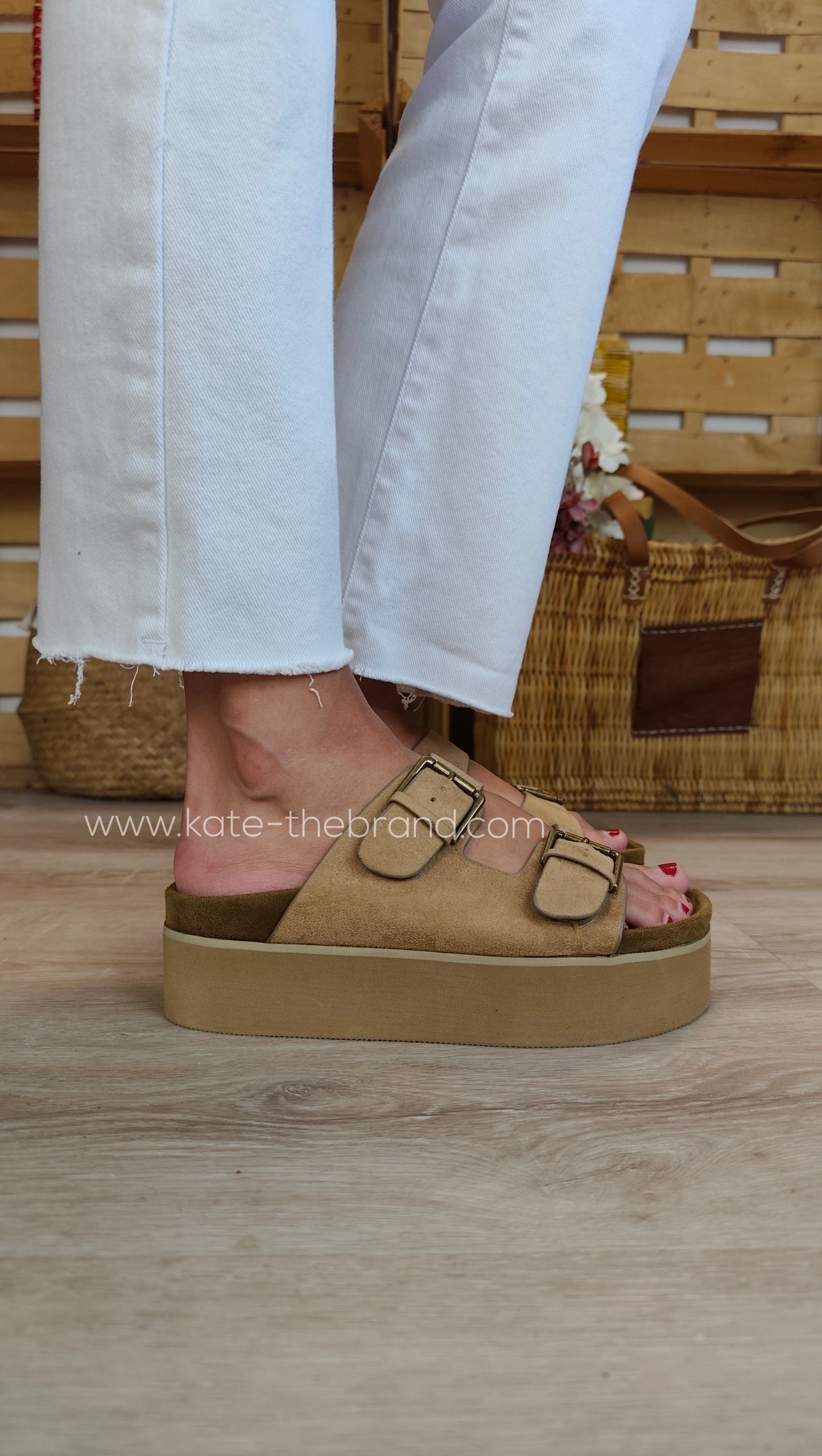 Cunhas Camel